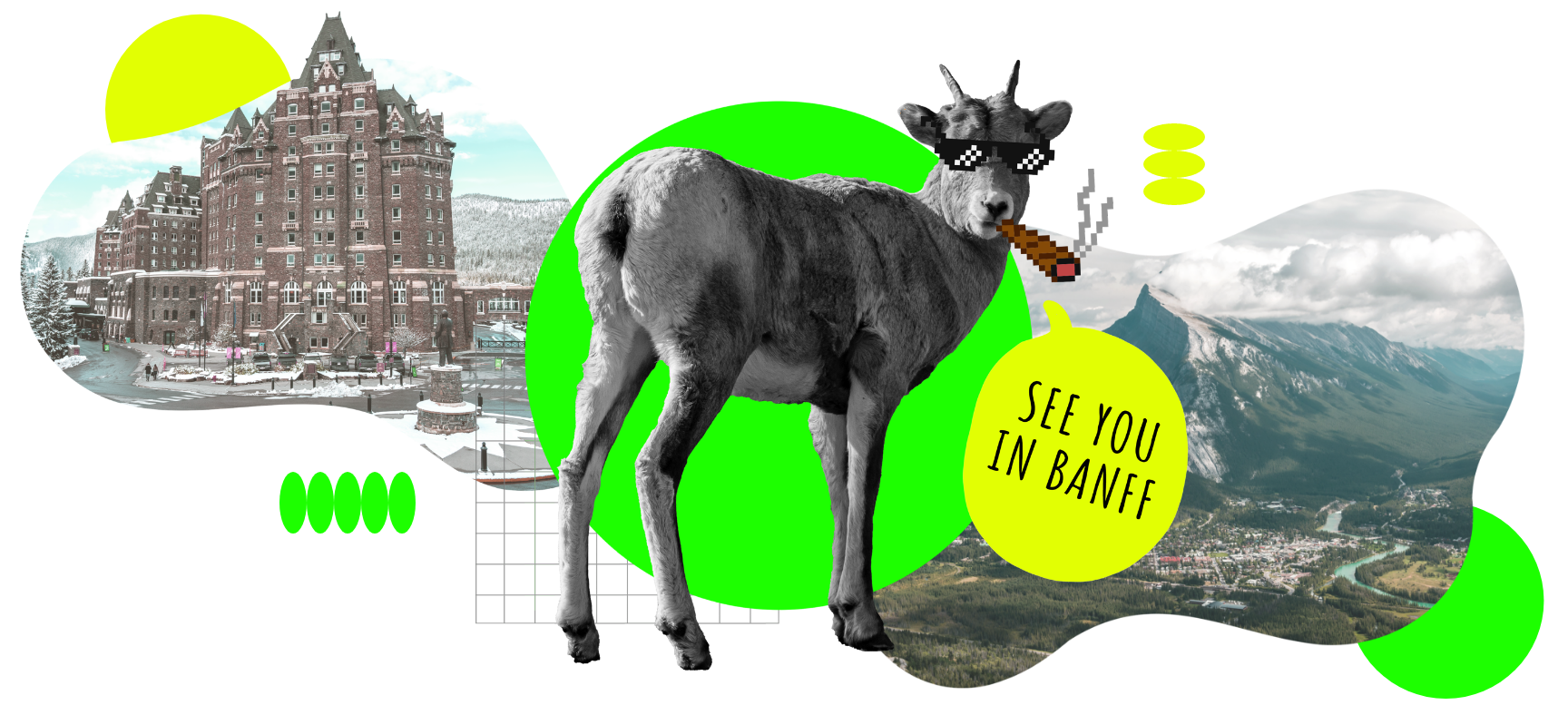 Mountain Goat The Gathering NFT Mascot